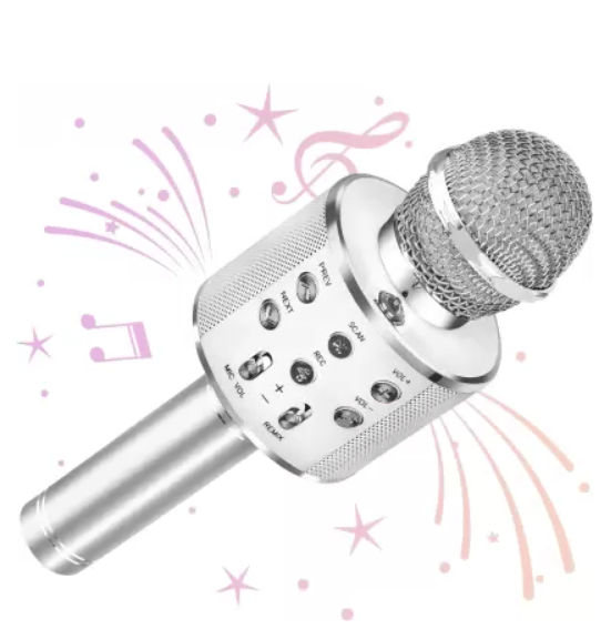 Dark to Bright WIRELESS KIDS SINGING MICROPHONE WITH INBUILT BLUETOOTH SPEAKER  (Silver)