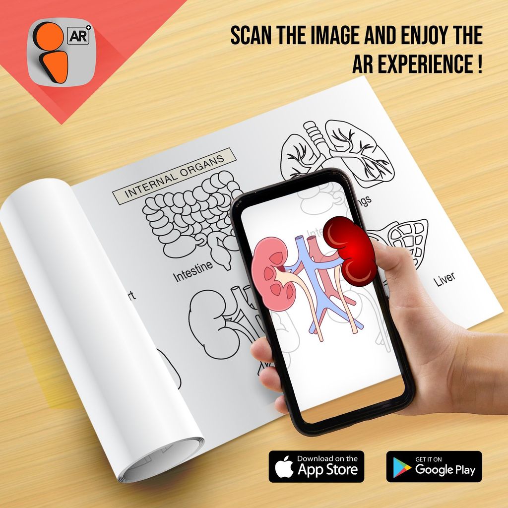 Know your Body Reusable Wall Colouring Roll - Augmented Reality Learning (6 Inches)