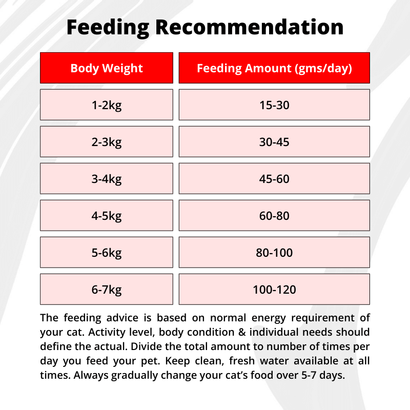 Luvin Artisanally Baked Dry Cat Food -4x100g