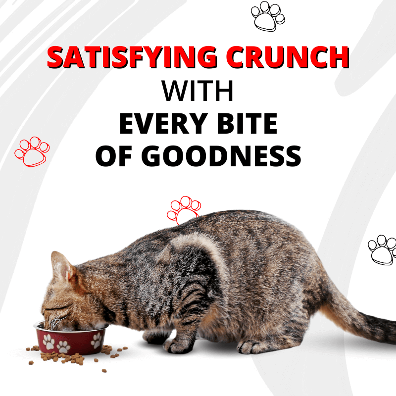Luvin Artisanally Baked Dry Cat Food -4x100g