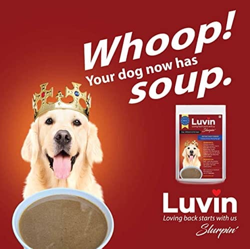LUVIN Slurpin' Instant Soup Powder for Dogs- 2x120gm