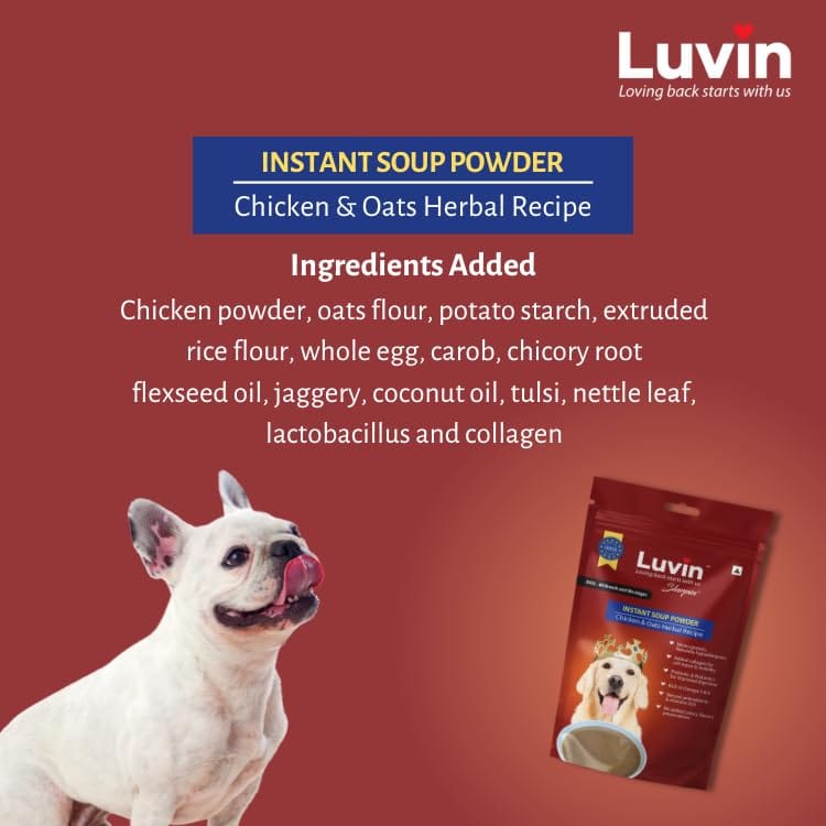 LUVIN Slurpin' Instant Soup Powder for Dogs- 2x120gm