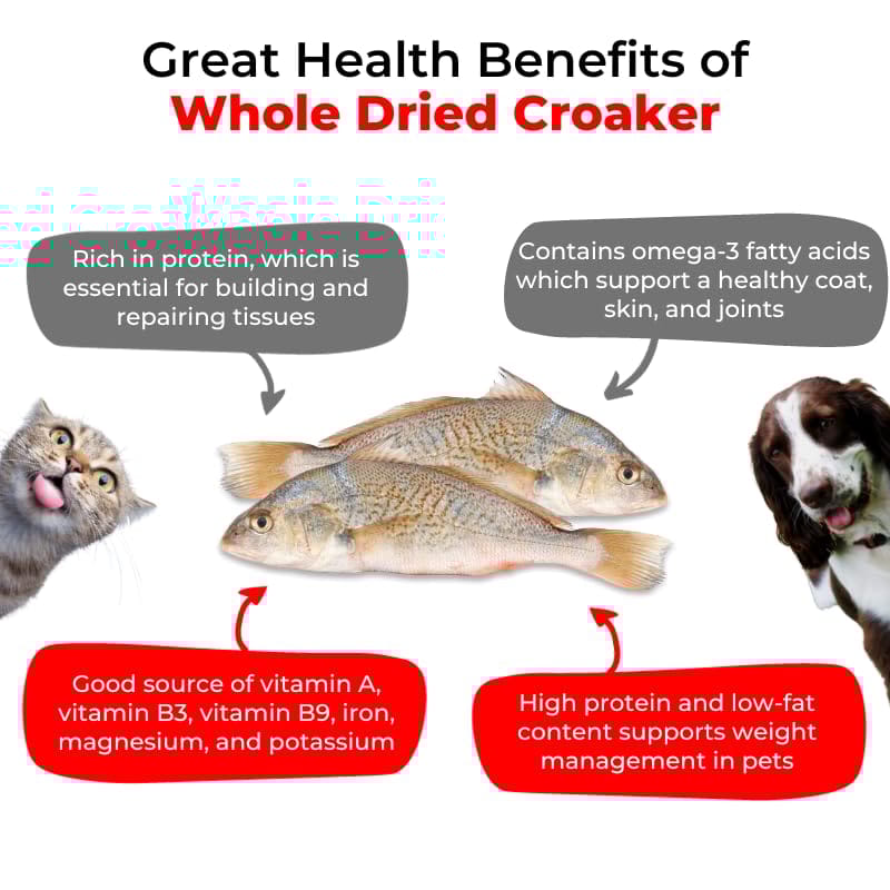 Luvin Nothing Else Croaker Treats for Dogs & Cats - 2 x 70g