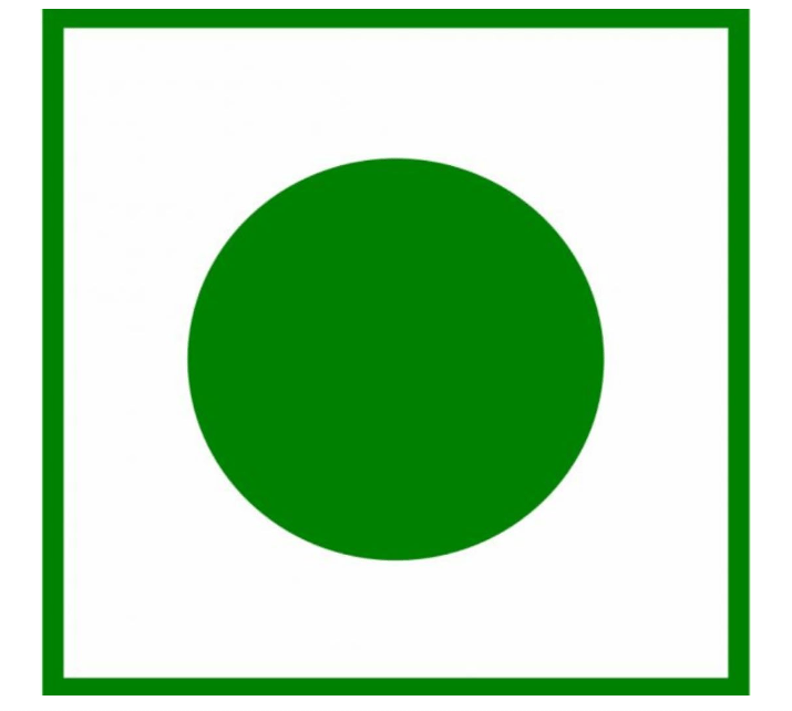 FOODNUTRA Premium Roasted Sweet and Salt Flavoured Cashew Healthy and testy Kaju