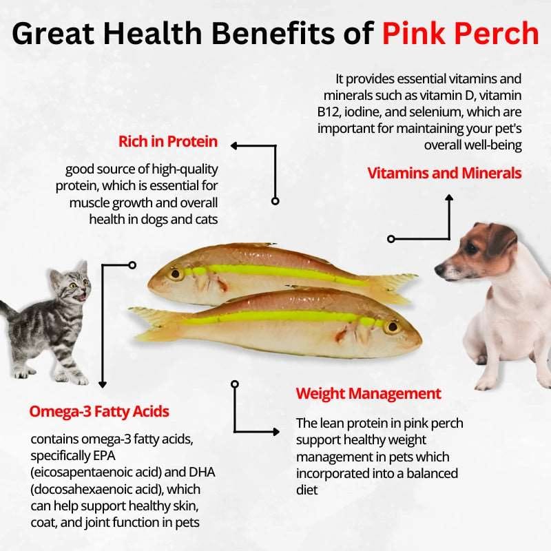 Luvin Nothing Else Pink Perch Treats for Dogs & Cats- 2x70g
