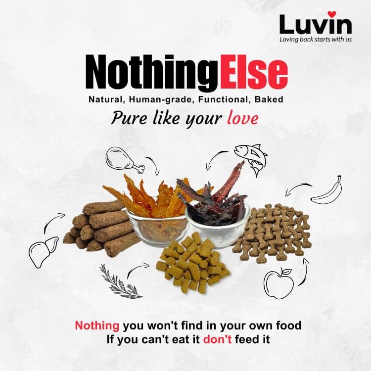 Luvin Nothing Else Chicken Liver & Ragi Sticks for Dogs & Cats -2x150g