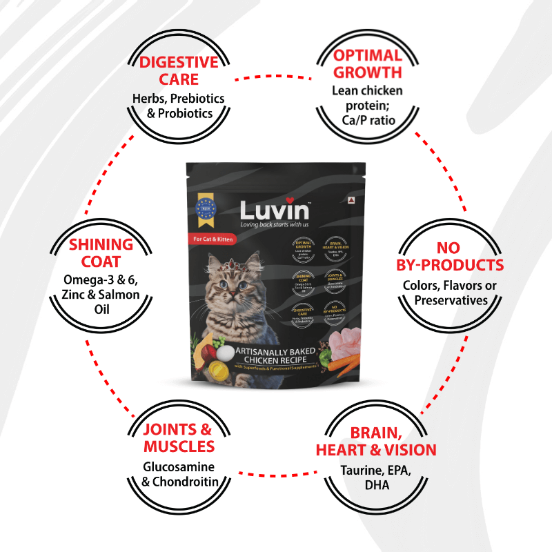 Luvin Artisanally Baked Dry Cat Food - 8x100g