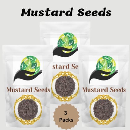 Mustard Seed | Pack of 3