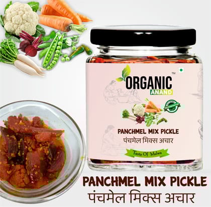 Organic Anand Natural Panchmel Pickle (Mixed Veg Aachar) Veg, Spicy, Tangy & Tasty Achaar (Beetroot, Mooli, Matar Gajar, Gobhi, Shalgam ka Achar) Homemade Aachar with Neemwood spoon (250gm-Pack of 1)