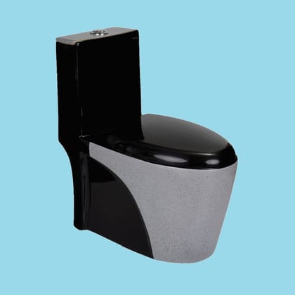 Vardhman Ceramics Designer Black One-Piece Western Commode Water Closet Floor Mounted S Trap Outlet on Floor Glossy and Matt Finish EWC for Toilet Bathroom Washroom 813 Rustic Black