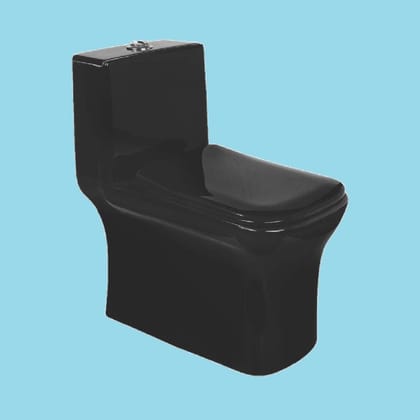 Vardhman Ceramics One Piece Full Black Glossy Finish Western Commode Water Closet Floor Mounted S Trap Outlet on Floor EWC for Toilet Bathroom Washroom Battle Full Black