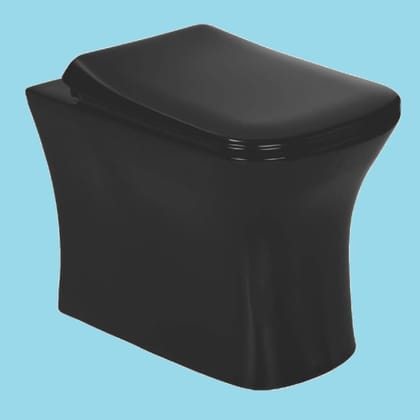 Ceramics Designer Floor Mounted European Water Closet One Piece Western Toilet Commode EWC S Trap with Slow Motion Soft Close Seat Cover