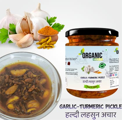 Organic Anand Homemade Garlic Turmeric Pickle 500gm Kachi Haldi and Lahsoon/Lassan/Lahsun Ka Achaar with Neemwood Spoon Flavourful, Delicious, Traditional Taste (Pack of 1)