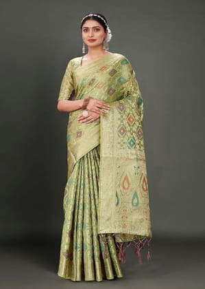 Woven Organza Saree in Light Green
