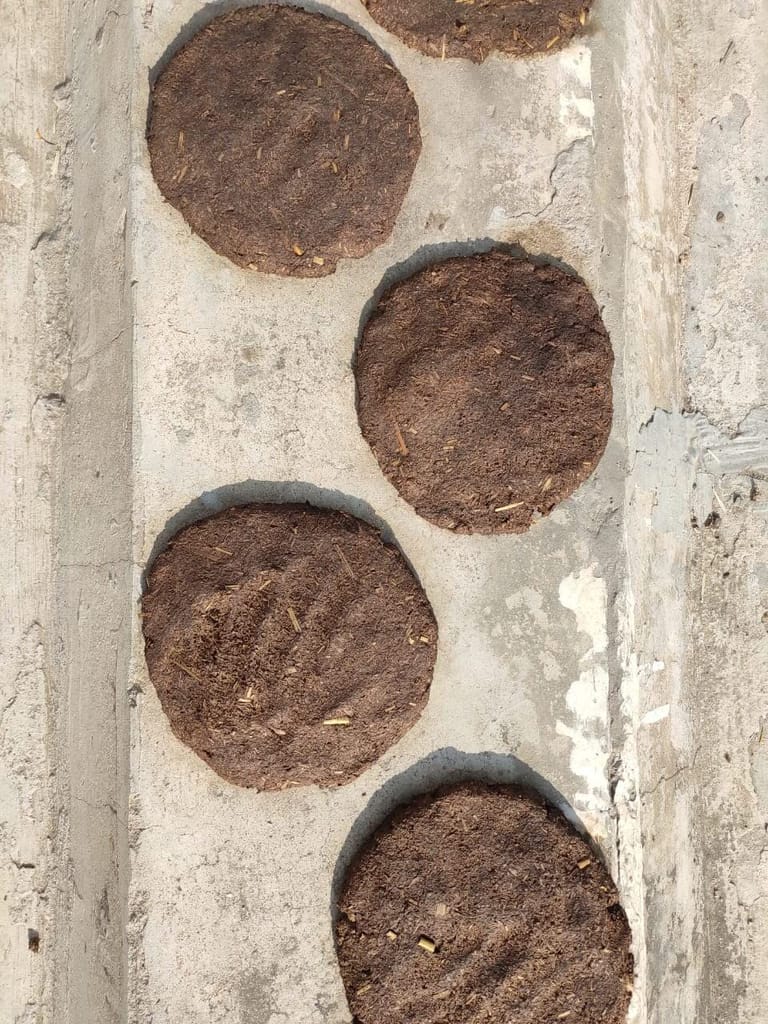 Brand seal