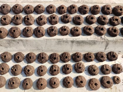 GOKULAM Cow Dung Gulariyan Mala for Holika Dahan/badkulla/badkula/badkulaya(????????) for Holi(21 Pieces in One Mala)