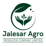 JALESAR AGRO PRODUCER COMPANY LIMITED JALESAR AGRO PRODUCER COMPANY LIMITED