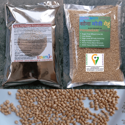 Sona Moti Wheat