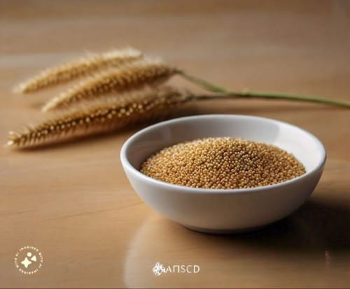 UNPOLISHED FOXTAIL/ KANGNI MILLET