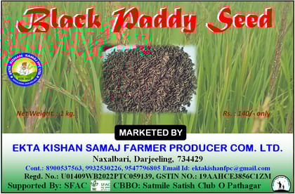 BLACK PADDY SEED