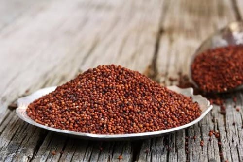 RAGI GRAIN