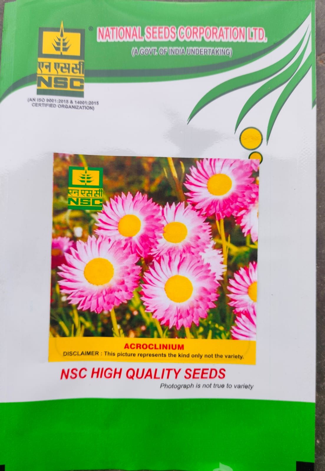NSC Acrolinium Flower Seed -10 gm packet