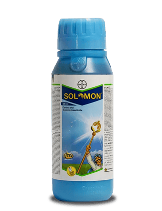 Bayer SOLOMON
