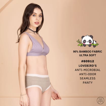 Full Coverag Hipster Panty