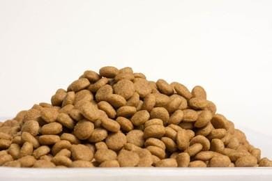 STELLA stella yummy pet food 1.2 kg Dry Adult Dog Food