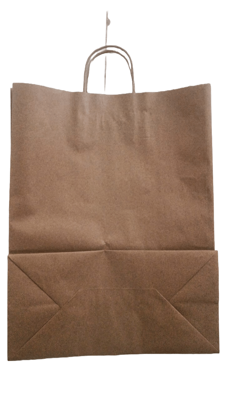 Premium Paper Bag with Handles