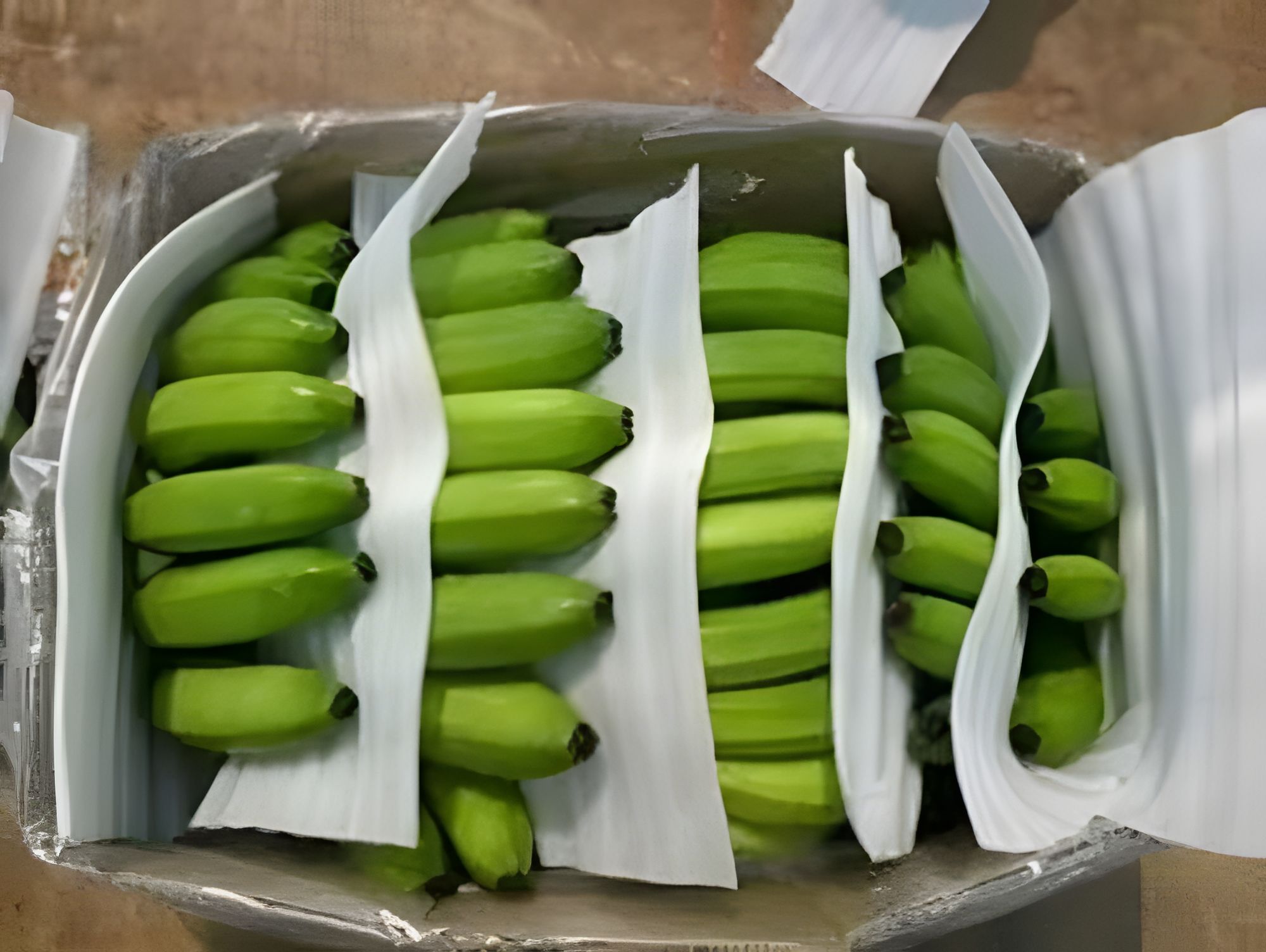 Raw Banana