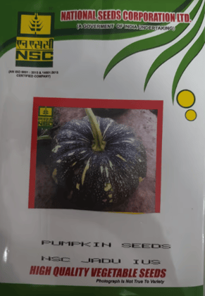 NSC Hyb. Pumpkin/ NSC JADU IUS, 50gm