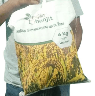Paddy seed Certified 6kg packet verity Ranjit sub 1