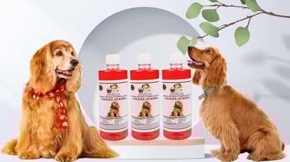 Swacch Shampoo Specially Formulated for Cocker Spaniel (500ml) (Pack of 3) Jasmine