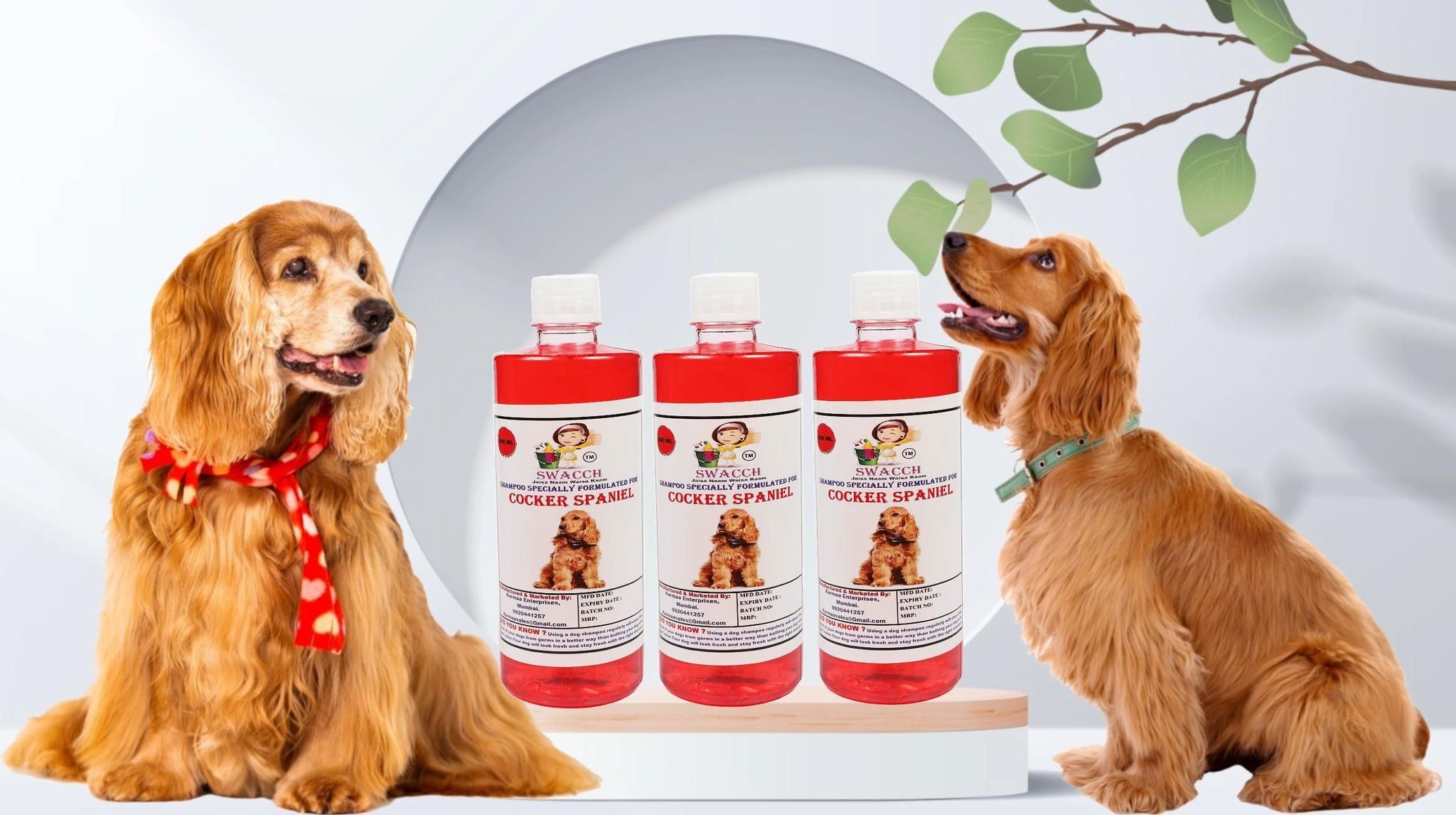 Swacch Shampoo Specially Formulated for Cocker Spaniel (500ml) (Pack of 3) Jasmine