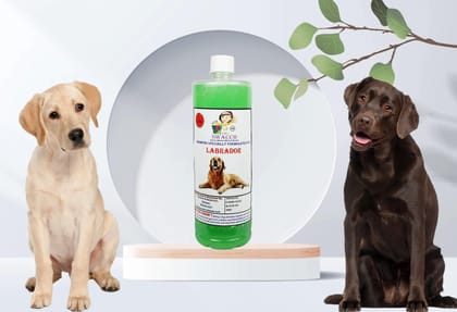 Swacch Shampoo Specially Formulated for Labrador (1 Litre) Neem Alovera