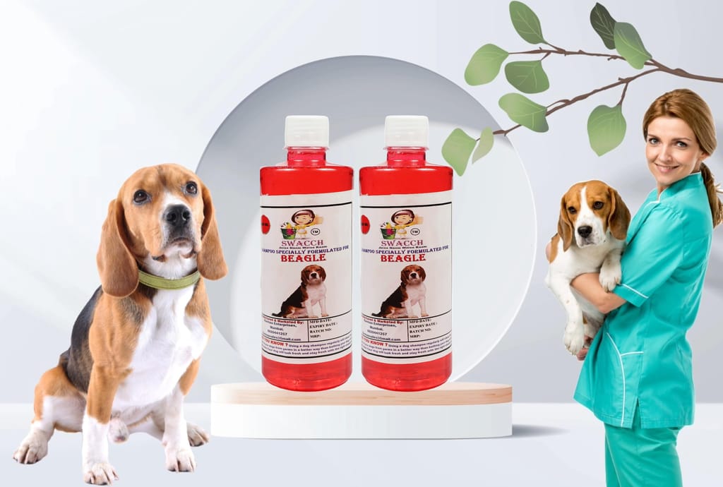 SWACCH Shampoo Specially FORMULATED for Beagle (500ML) (Combo Pack of 2) Strawberry