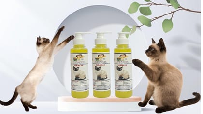 SWACCH Premium Shampoo for Siamese CAT (200ML) (Pack of 3) Lemon SWACCH Premium Shampoo for Siamese CAT (200ML) (Pack of 3) Lemon