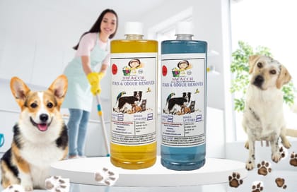 Stain & Odour Remover (1 Litre) (Combo Pack of 2) Lemon & Lavender