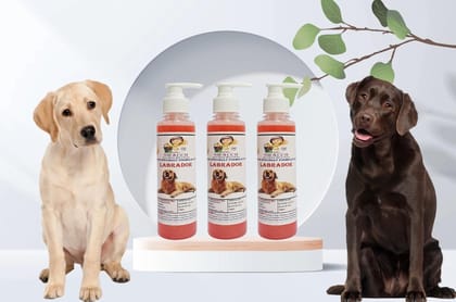SWACCH Premium Shampoo for Labrador (200ML) (Pack of 3) Strawberry