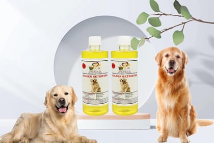 SWACCH Shampoo Specially FORMULATED for Golden Retriever (500ML) (Pack of 2) Lemon