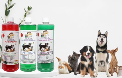 Swacch Shampoo (Strawberry) + Deodorizer (Jasmine) + Stain Remover (Jasmine) (1 Litre) (Pack of 3)