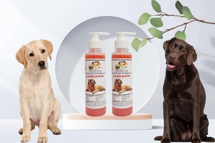 SWACCH Premium Shampoo for Labrador (200ML) (Pack of 2) Jasmine