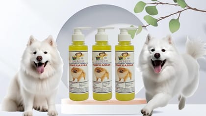 SWACCH Premium Shampoo for Pomeranian (200ML) (Pack of 3) Lemon