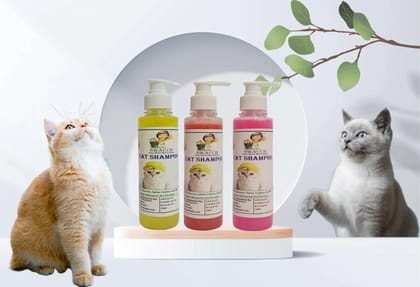 SWACCH Premium Shampoo for CAT Shampoo (200ML) (Pack of 3) Lemon, Strawberry & Rose