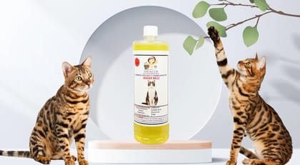 SWACCH Shampoo Specially FORMULATED for Indian Billi (1 Litre) Lemon
