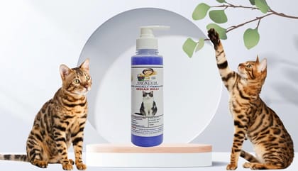 SWACCH Premium Shampoo for Indian Billi (200ML) Lavender