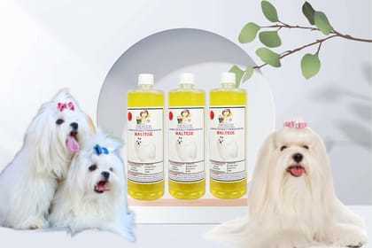 Swacch Shampoo Specially Formulated for Maltese (1 Litre) (Combo Pack of 3) Lemon