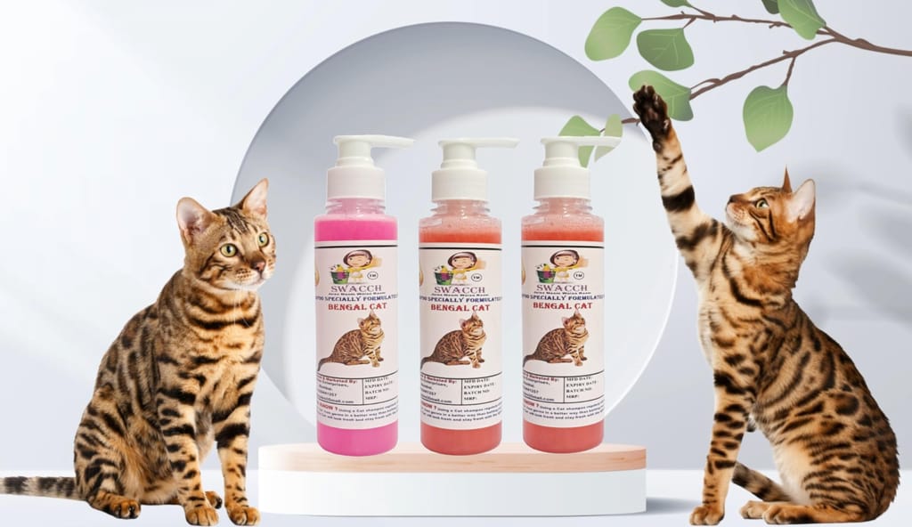 SWACCH Premium Shampoo for Bengal CAT (200ML) (Combo Pack of 3) Rose, Jasmine & Strawberry