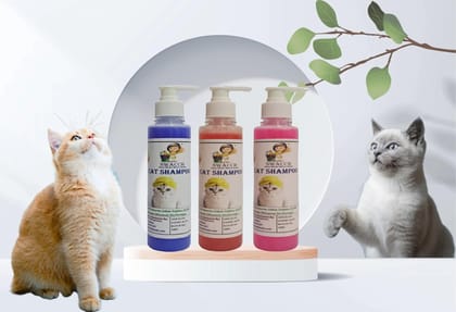 SWACCH Premium Shampoo for CAT Shampoo (200ML) (Combo Pack of 3) Lavender, Strawberry & Rose